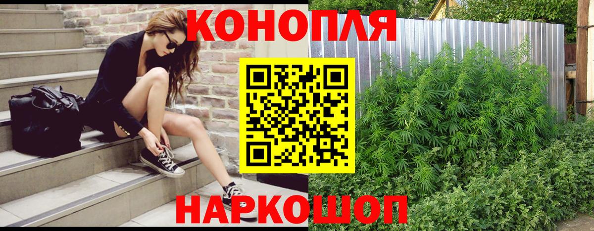 Шишки марихуана конопля  Канабис сатива  Бошки Шишки Ganja  Ржев  Вход с VPN 